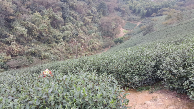 两个老男人的追狼之旅