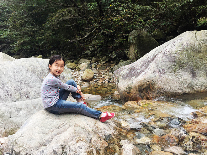 BQ & PB -- 犹疑中的2015上马 来之何迟