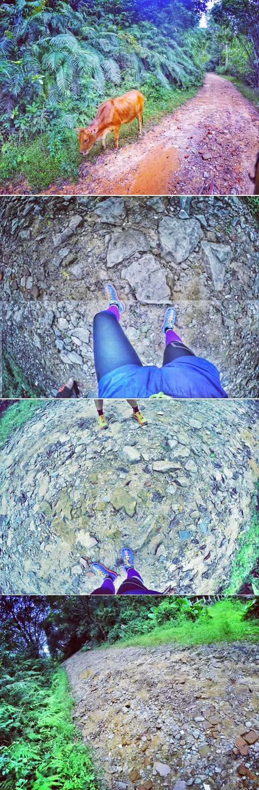 盛名之下 当高缓冲遇上V大底  ——Hoka One One Speedgoat测评