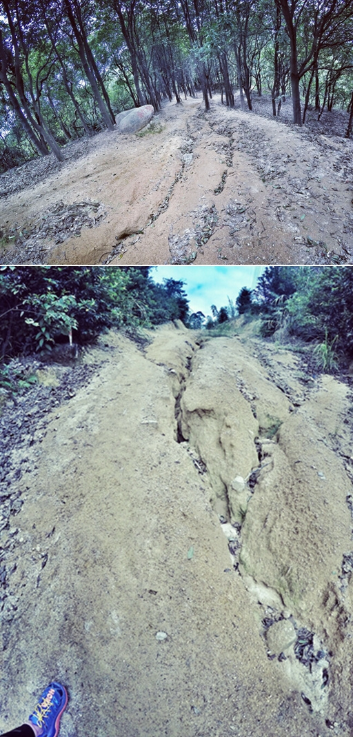 盛名之下 当高缓冲遇上V大底  ——Hoka One One Speedgoat测评