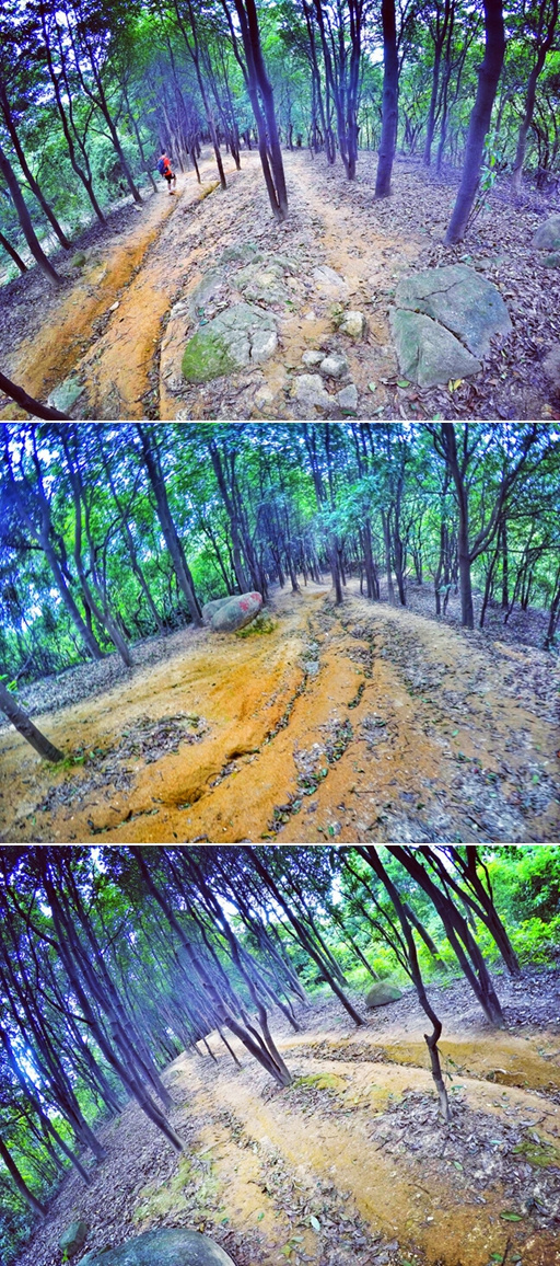 盛名之下 当高缓冲遇上V大底  ——Hoka One One Speedgoat测评