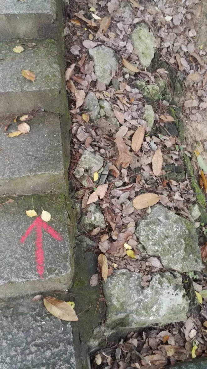 2015柴古九峰赛事总结