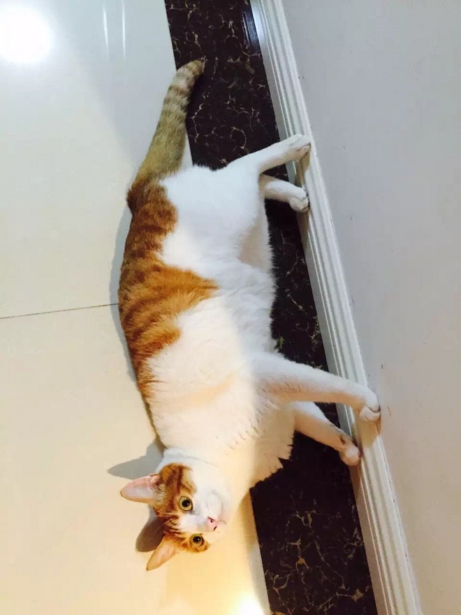 IT IS NEVER TOO LATE 写给自己49岁的首马