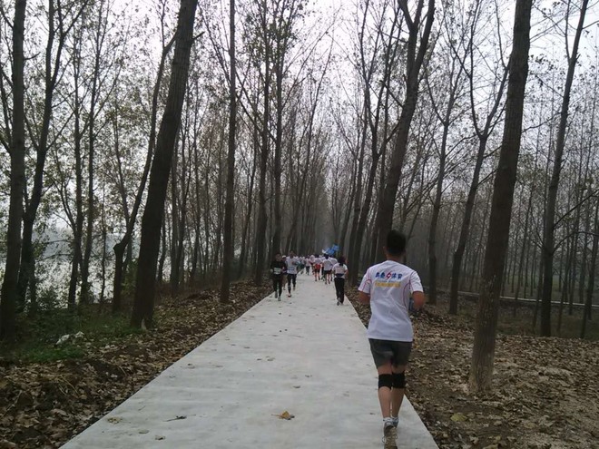 运马，不来你就亏了