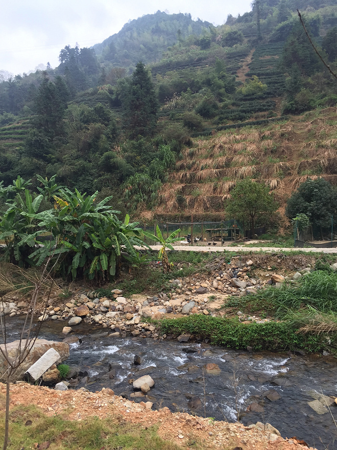 【众测报告】南靖土楼半程马拉松——绝美的赛道风景和有待提升的组织水准