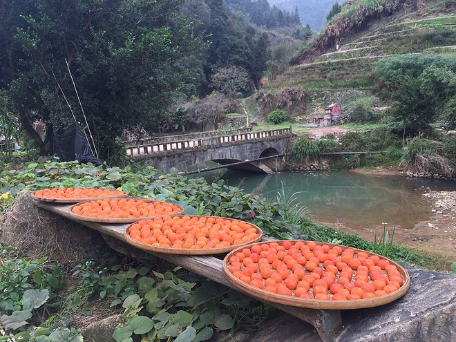 【众测报告】南靖土楼半程马拉松——绝美的赛道风景和有待提升的组织水准