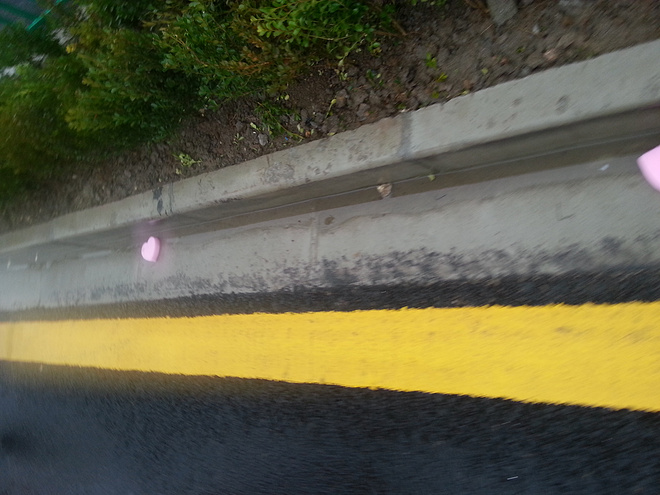 测评：【浦东国际女子马拉松】我们就是最美的风景