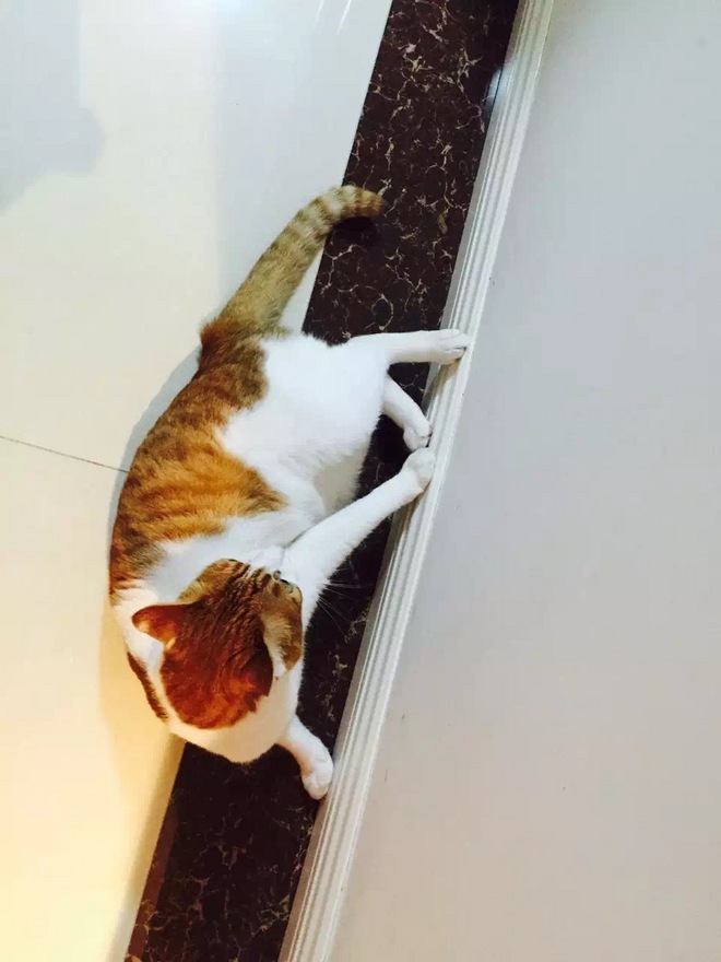 IT IS NEVER TOO LATE 写给自己49岁的首马