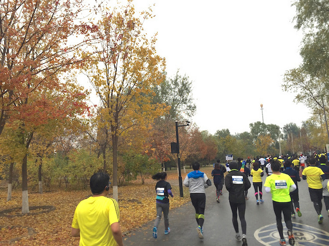 鸟巢半马，感受飞人战斗过的地方~