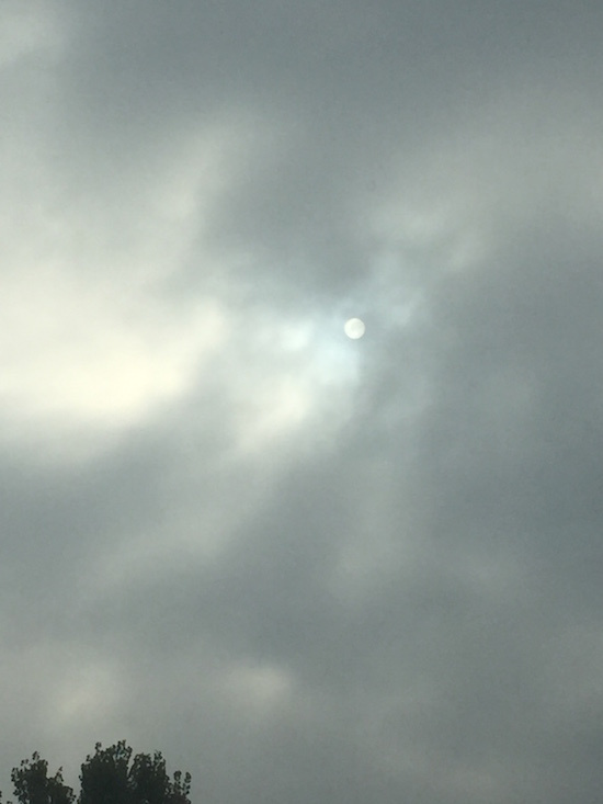 琅琊古城临沂行——记2015年11月15日首届临沂马拉松（半马）