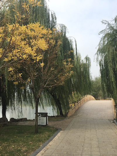 琅琊古城临沂行——记2015年11月15日首届临沂马拉松（半马）