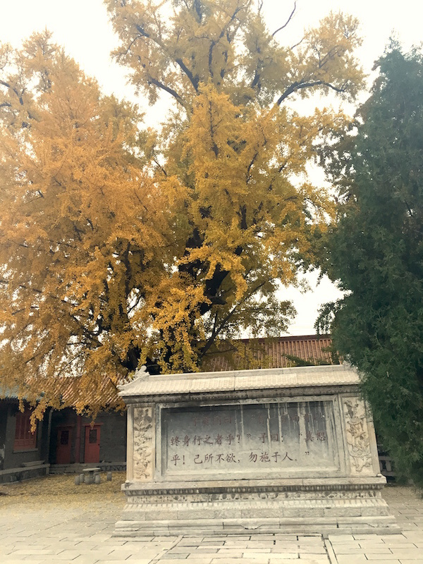 琅琊古城临沂行——记2015年11月15日首届临沂马拉松（半马）