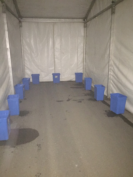 琅琊古城临沂行——记2015年11月15日首届临沂马拉松（半马）