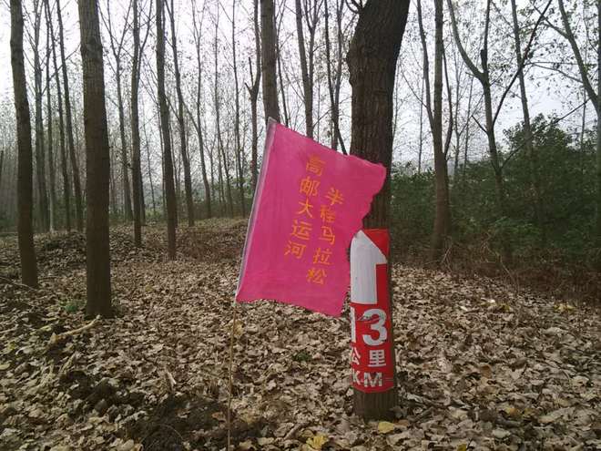 运马，不来你就亏了