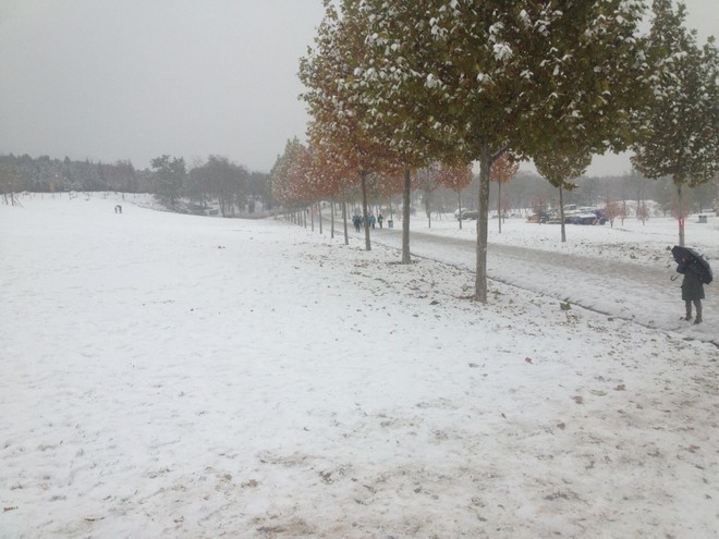 我参加了西山半程