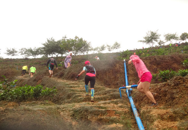 在雨中漫步，尝水中的味道