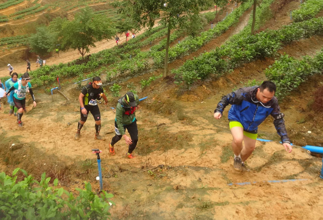 在雨中漫步，尝水中的味道