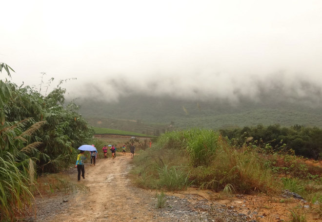 在雨中漫步，尝水中的味道