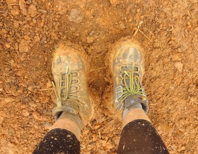 生涯首马与上海滩结缘 跪谢雨神不杀之恩