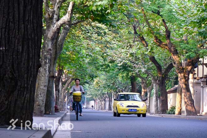 侬好上马 | 2015上海国际马拉松参赛指南