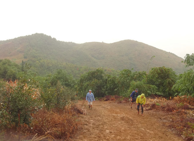 在雨中漫步，尝水中的味道