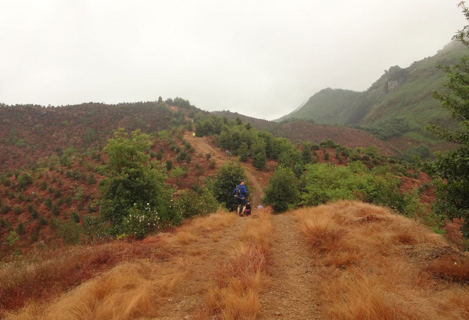 在雨中漫步，尝水中的味道