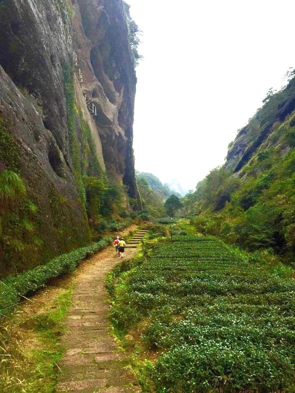 越过未知的山野/武夷山国际越野赛全新体验