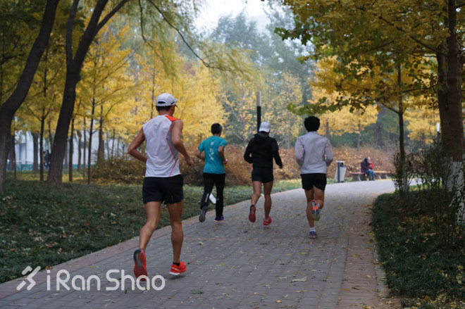 现场 | 赶在银杏叶落下时，分秒不差跑玩半马——Salomon城市越野北京站