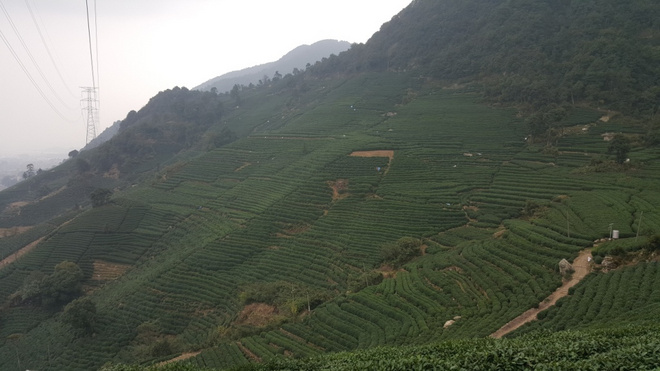 两个老男人的追狼之旅