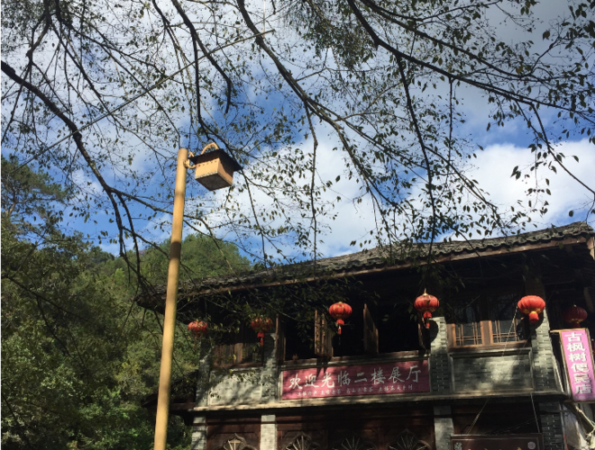 【众测报告】南靖土楼国际马拉松 | Pain is inevitable,suffering is optional!