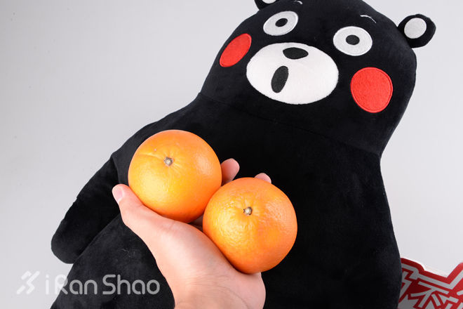 评测 | FALKE Sports Bra 运动文胸，将你的双峰温柔以待