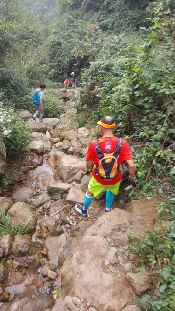 两个老男人的追狼之旅