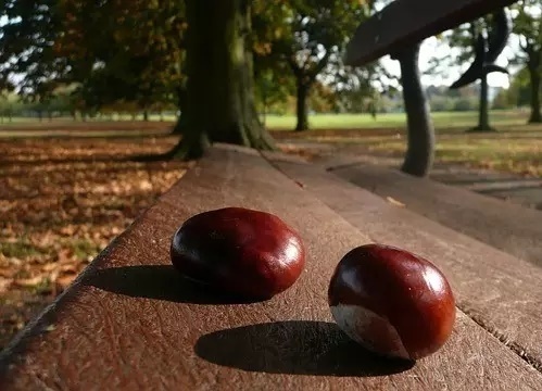 【非众测】99元心率手环实用还是噱头——一个马拉松跑者的评测