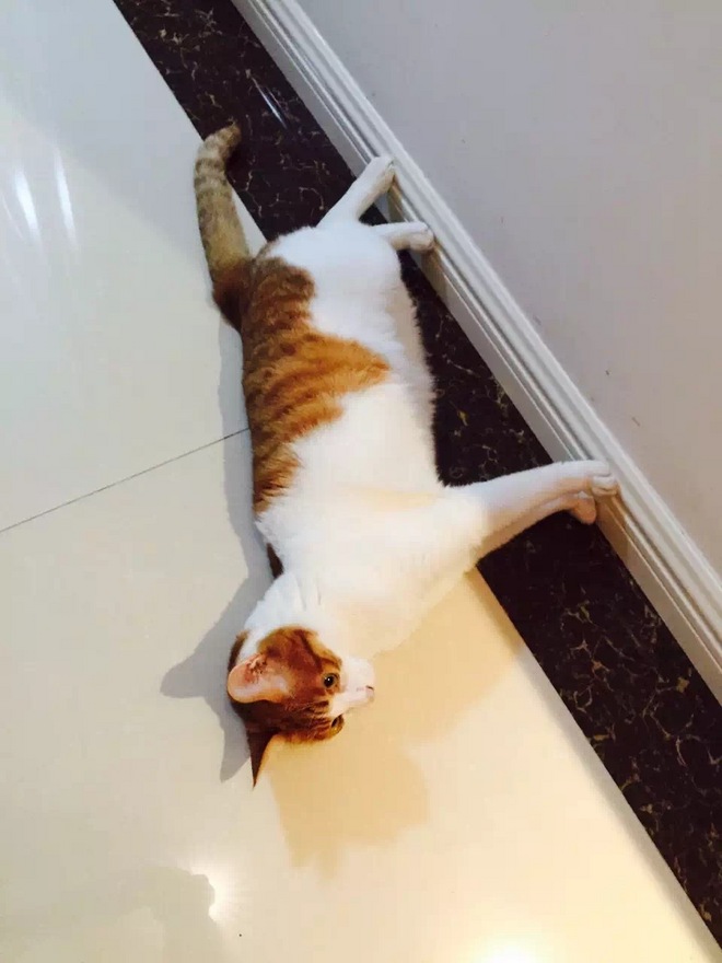 IT IS NEVER TOO LATE 写给自己49岁的首马