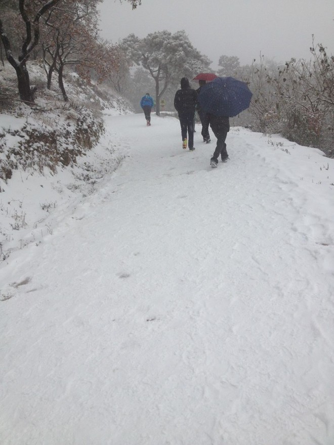 我参加了西山半程