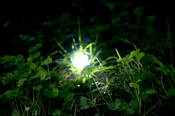 评测 | 让黑暗跑开，Nathan HALO FIRE跑步头灯