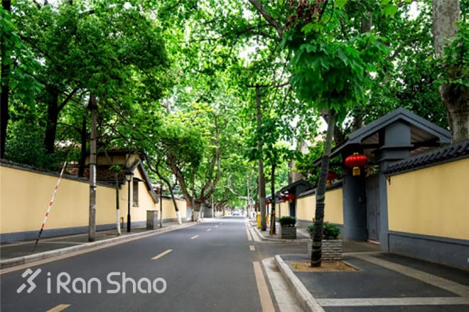 参赛指南 | 首届南京马拉松，终于等到你了