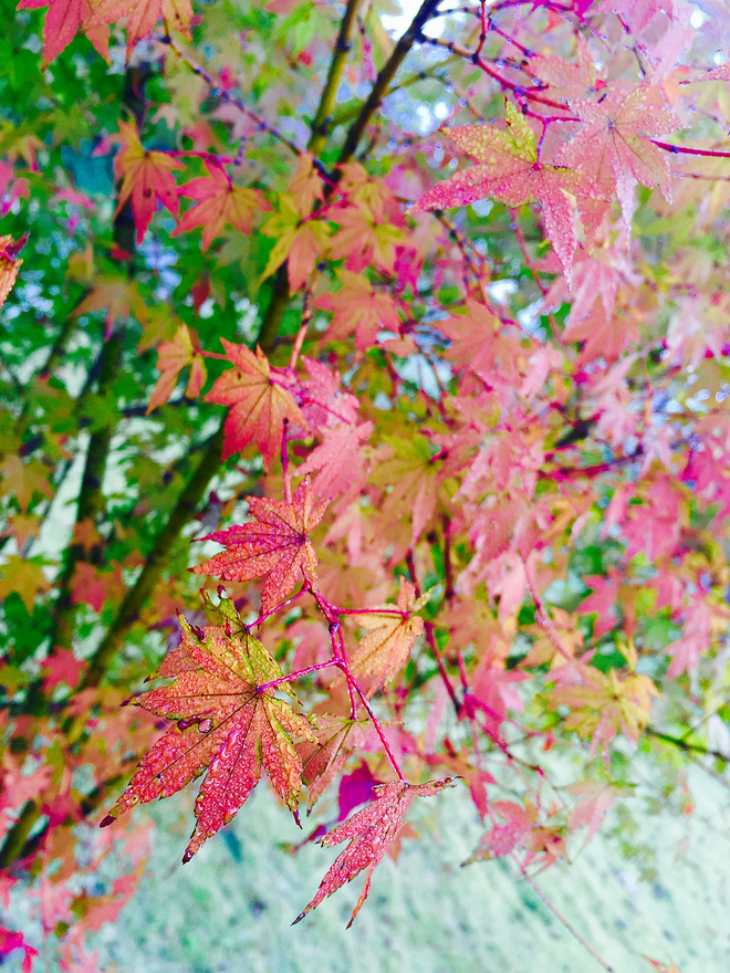 IT IS NEVER TOO LATE 写给自己49岁的首马