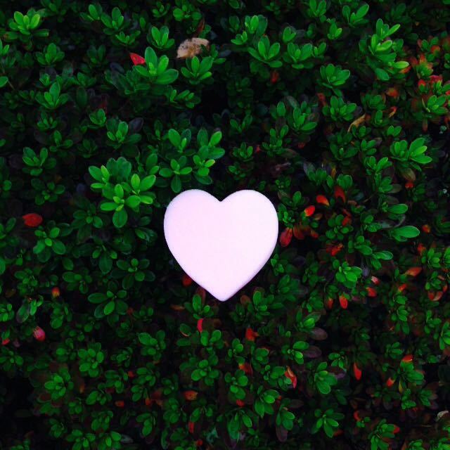 美，在路上；跑，活自己——上海浦东国际女子半程马拉松赛众测报告