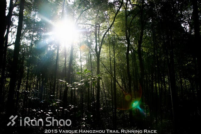 十年 | 西湖边那条叫威斯的路