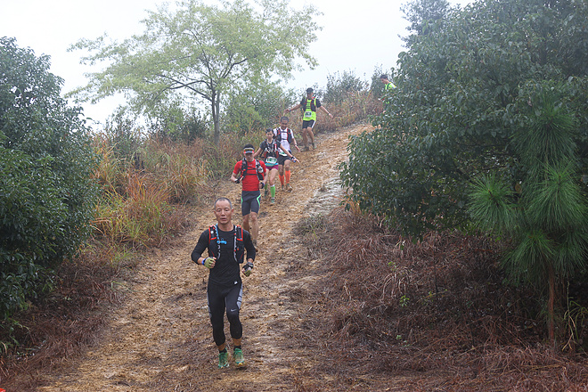那一场仙湖风花雪月玩泥巴的故事