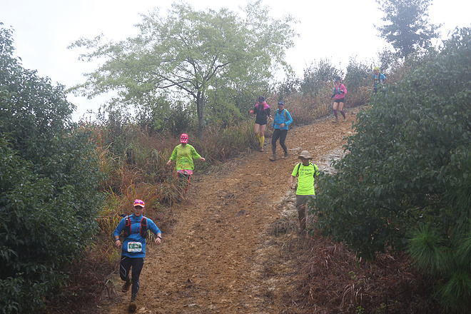 那一场仙湖风花雪月玩泥巴的故事