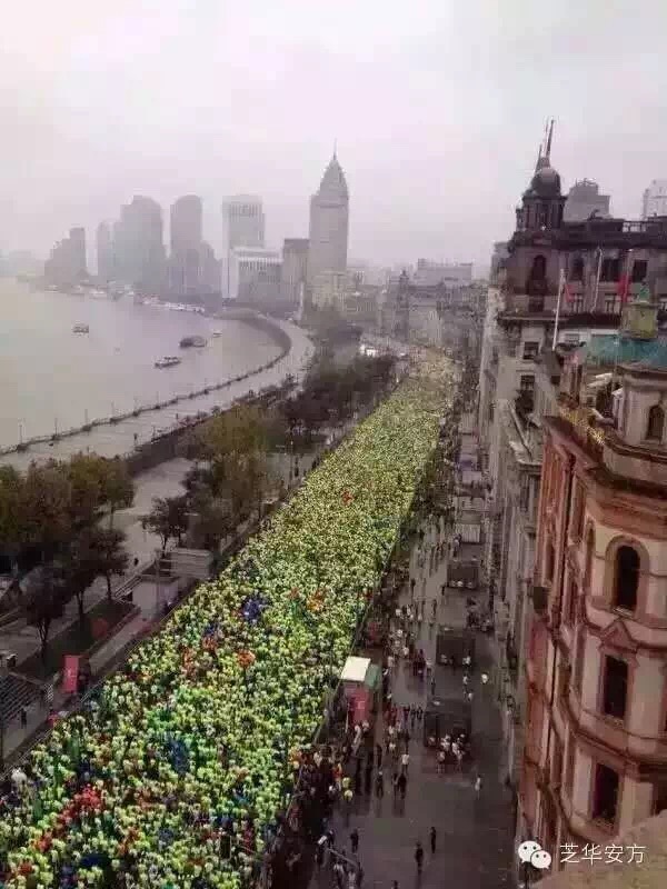 荷马跑上马-真的见证