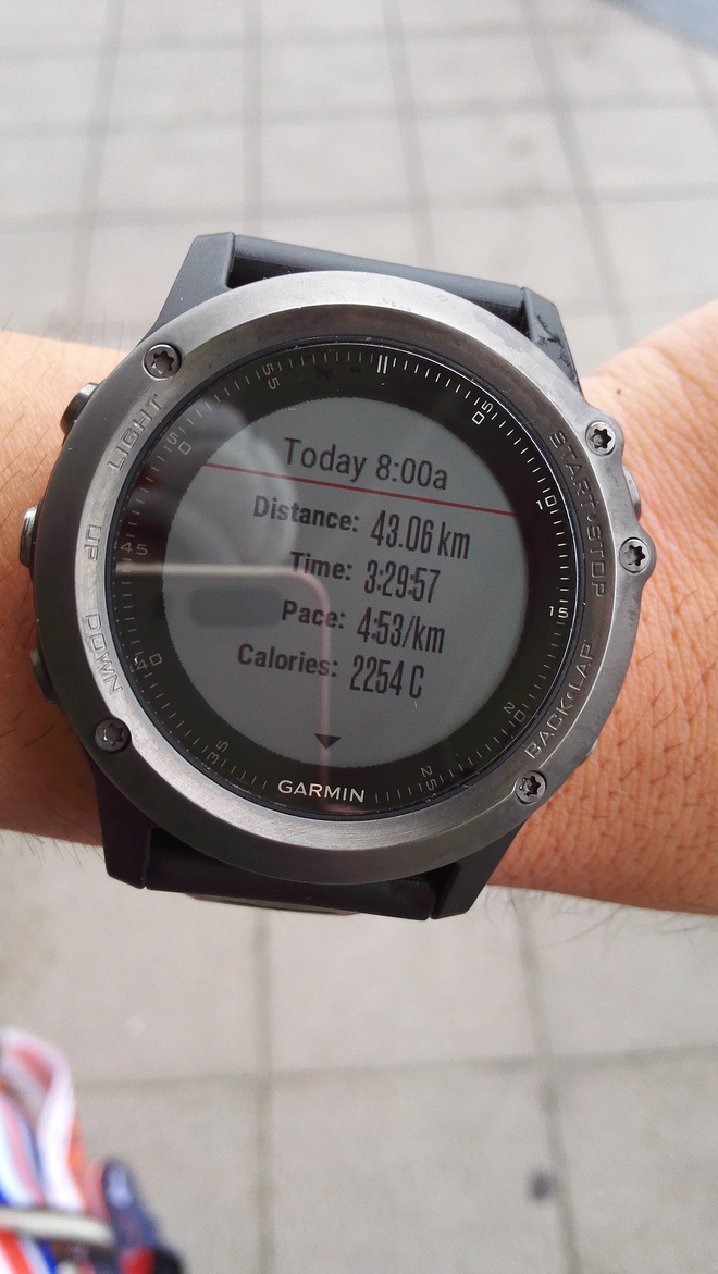 滴滴答答的杭马，收获无数下巴——挂盐水的330鸡血兔《三丰志》