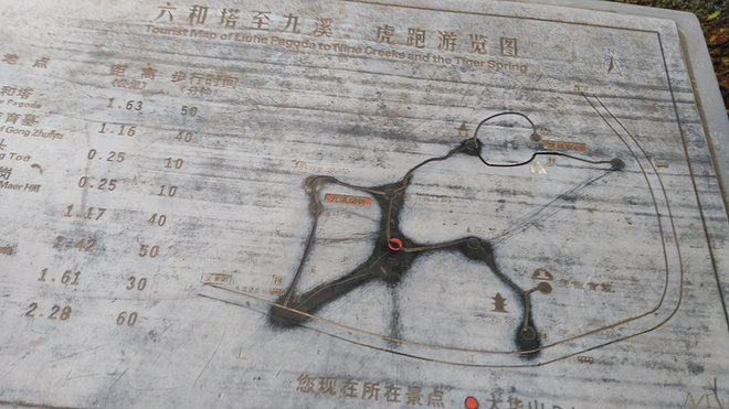 威斯五年，想说爱你不容易