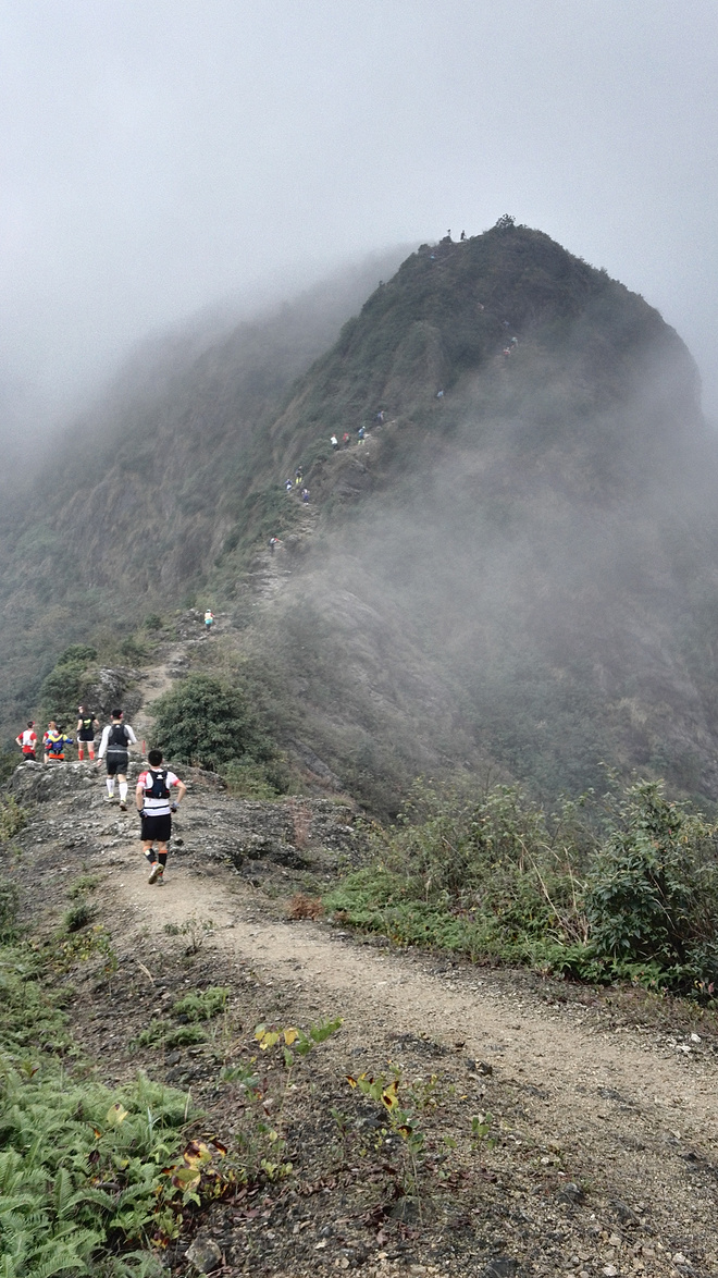 2015柴古九峰-上海拦不住