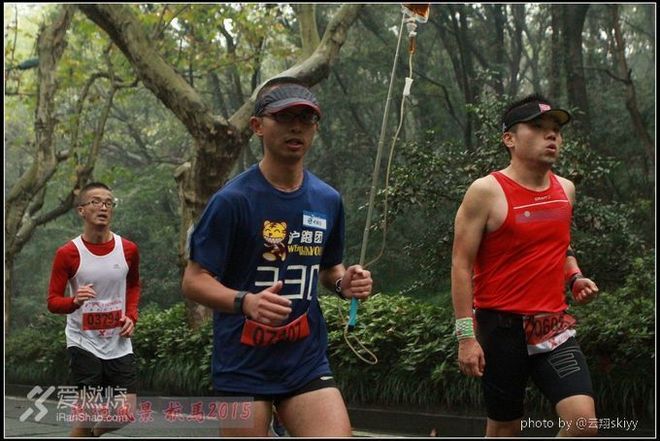 滴滴答答的杭马，收获无数下巴——挂盐水的330鸡血兔《三丰志》