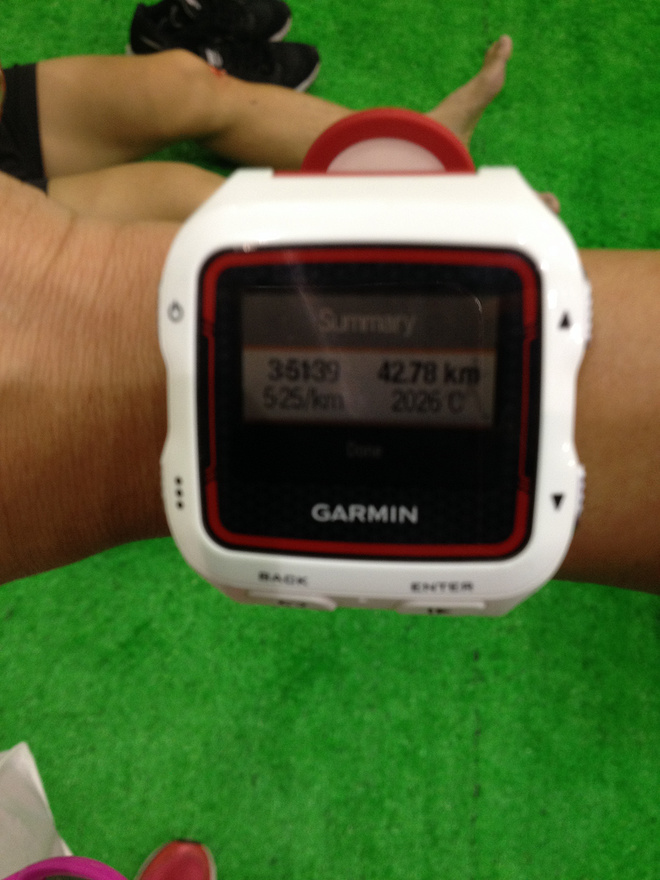 从408到348，诗歌，以及长长的感谢——我的2015年上海马拉松