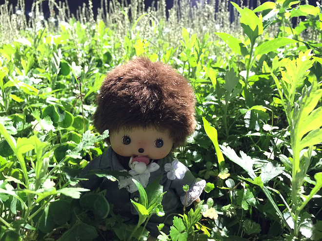 四个人，八条腿，一颗心，我们共同的乐施毅行者