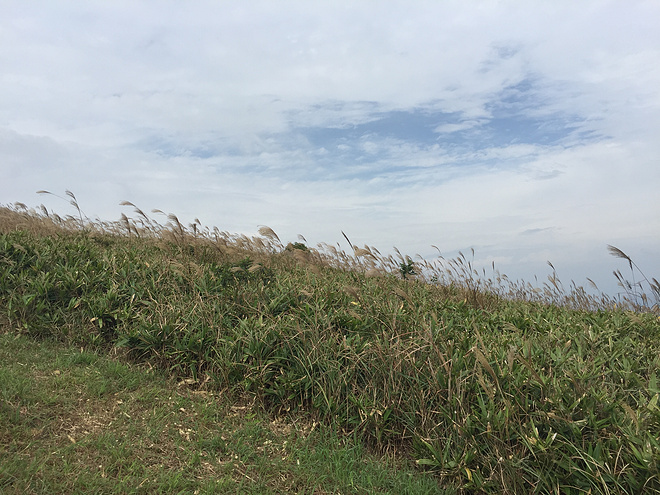 四个人，八条腿，一颗心，我们共同的乐施毅行者